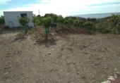 Finca rústica en venda a Vélez-Málaga ref.: TR231851 foto