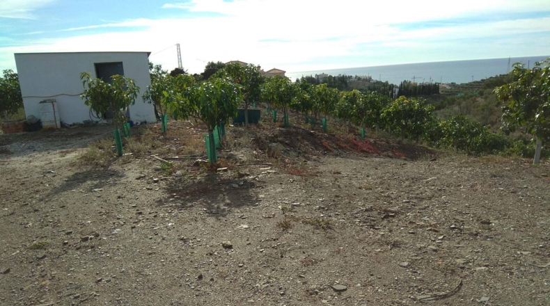 Malaga - Велес-Малага - 29000m2