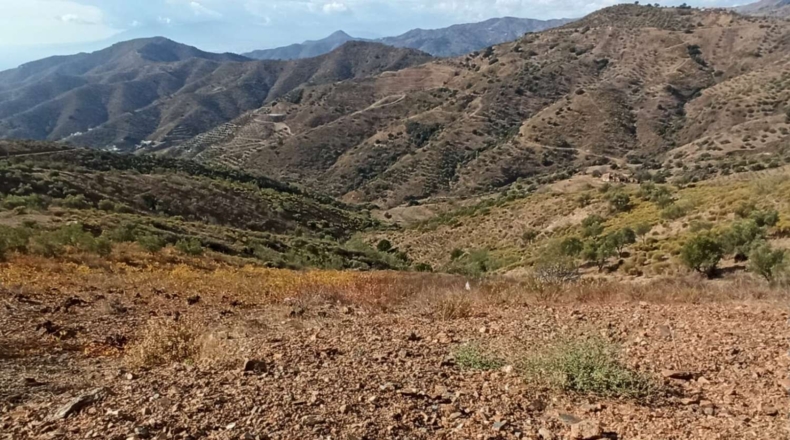 Málaga - Valdés - 2500m2