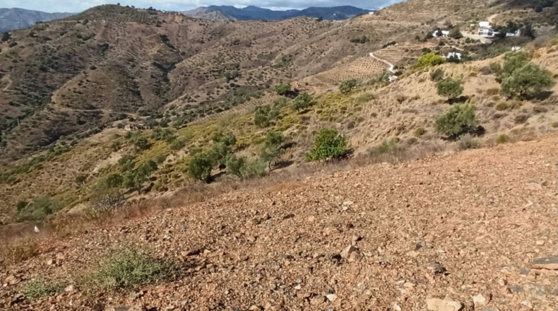 Málaga - Valdés - 2500m2