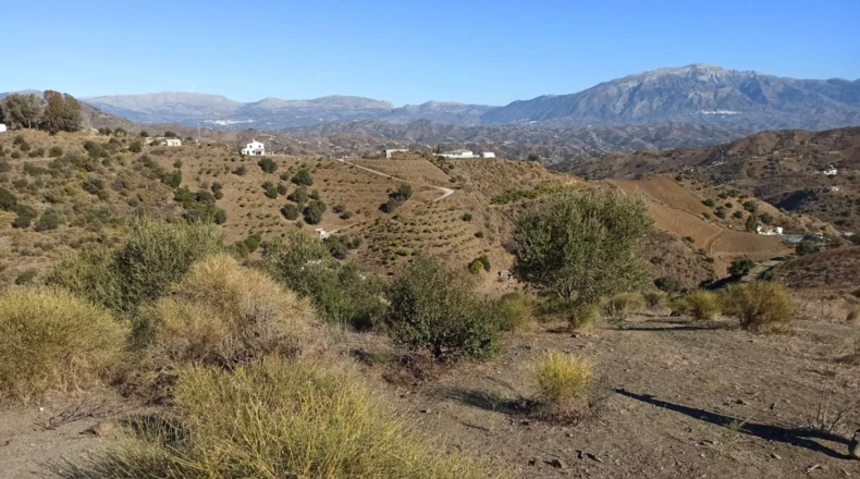Málaga - Almáchar - 35000m2