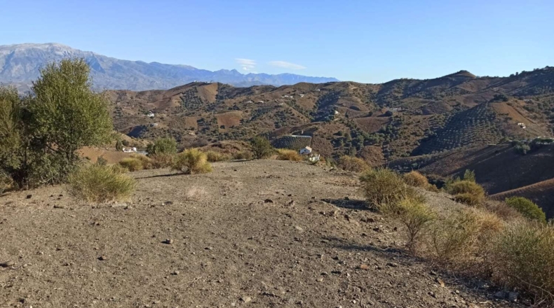 Málaga - Almáchar - 35000m2
