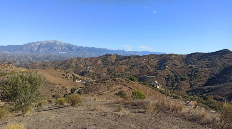 Málaga - Almáchar - 35000m2
