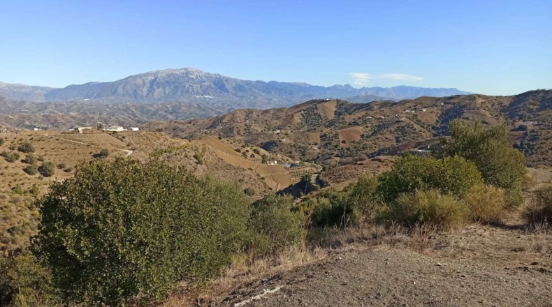 Málaga - Almáchar - 35000m2