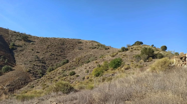 Málaga - Almáchar - 35000m2