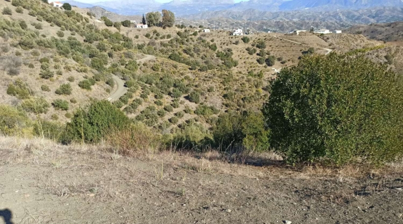 Málaga - Almáchar - 35000m2