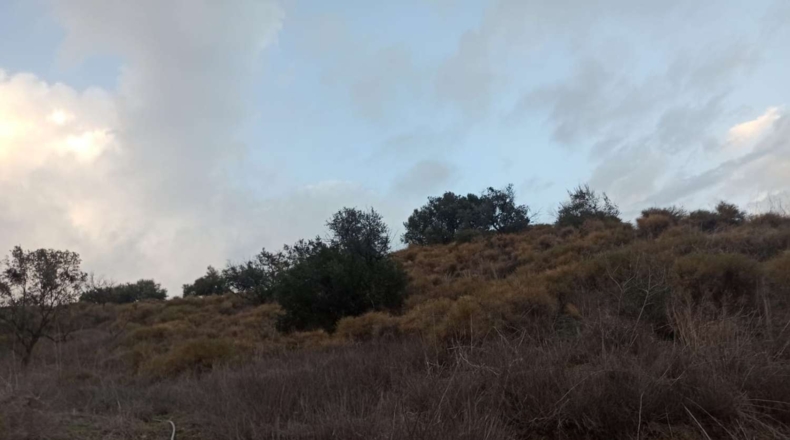 Málaga - Iznate - 13300m2