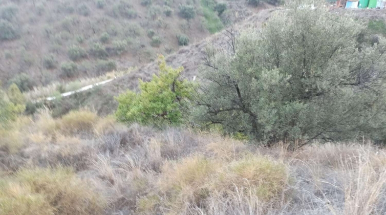 Málaga - Iznate - 13300m2