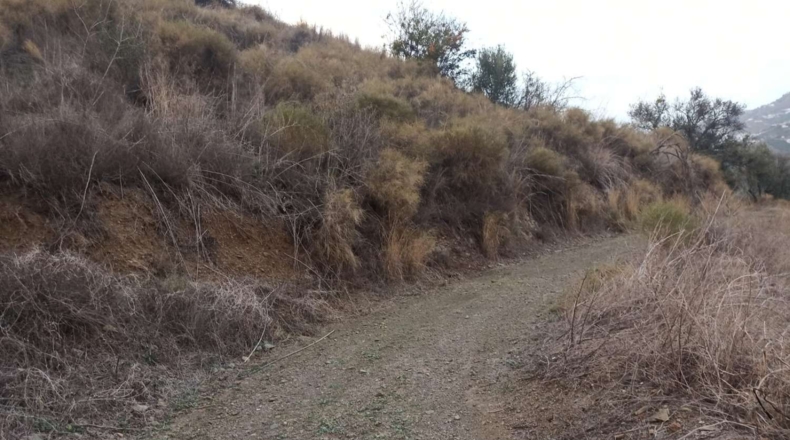 Málaga - Iznate - 13300m2