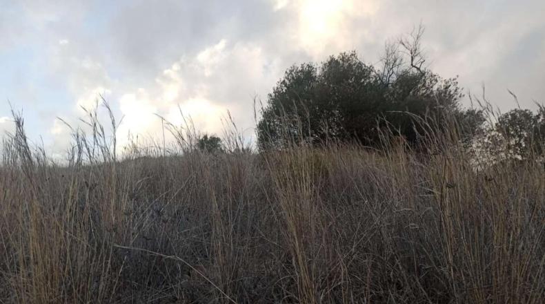 Málaga - Iznate - 13300m2