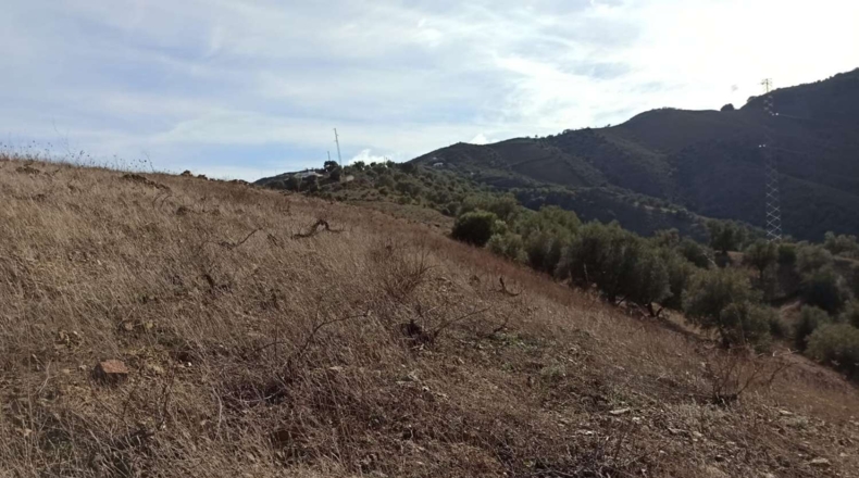 Málaga - Almáchar - 34000m2
