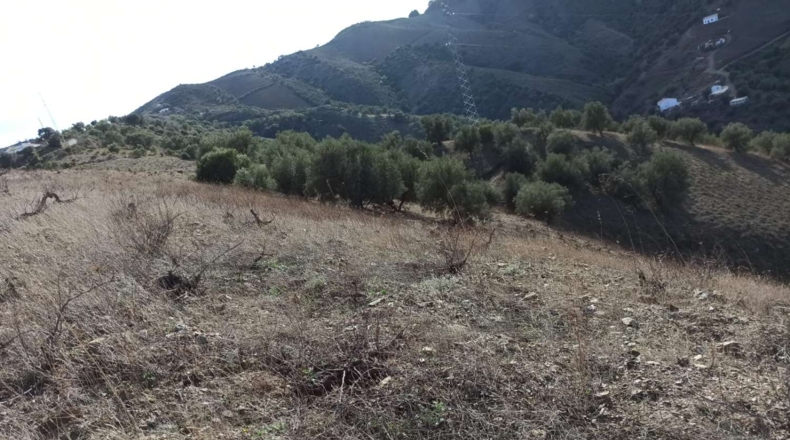 Málaga - Almáchar - 34000m2