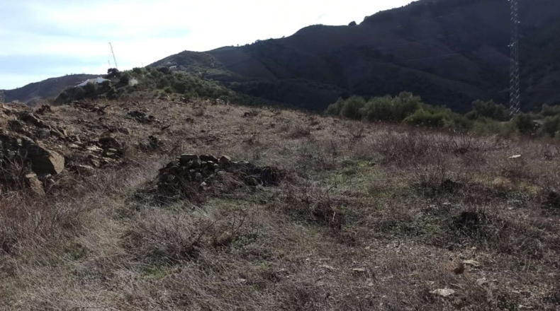Málaga - Almáchar - 34000m2