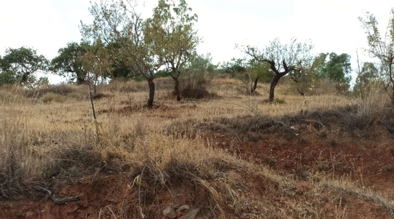 Málaga - Totalán - 100000m2