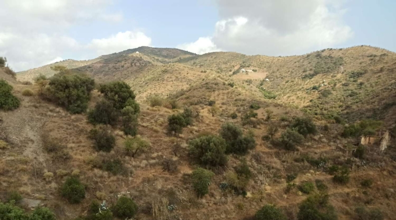 Málaga - Totalán - 100000m2
