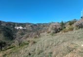 Terreno no urbanizable en venta en Totalán ref: TR91234 foto