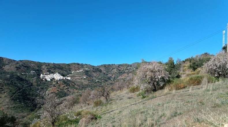 Málaga - Totalán - 9000m2