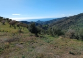 Terreno no urbanizable en venta en Totalán ref: TR91234 foto