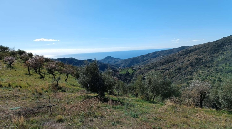 Málaga - Totalán - 9000m2