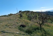 Terreno no urbanizable en venta en Totalán ref: TR91234 foto