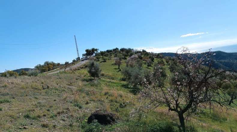 Málaga - Totalán - 9000m2