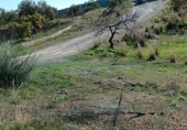 Terreno no urbanizable en venta en Totalán ref: TR91234 foto