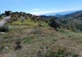 Terreno no urbanizable en venta en Totalán ref: TR91234 foto