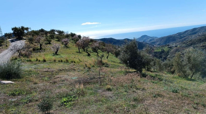 Málaga - Totalán - 9000m2