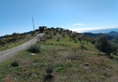 Terreno no urbanizable en venta en Totalán ref: TR91234 foto