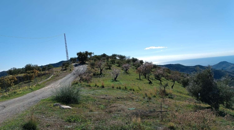 Málaga - Totalán - 9000m2