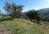 Non-developable land for sale in Moclinejo ref: TR91242 photo