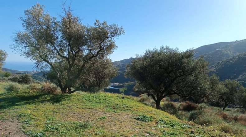 Málaga - Valdés - 3000m2