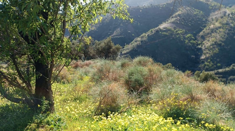 Málaga - Valdés - 3000m2