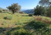 Non-developable land for sale in Moclinejo ref: TR91242 photo