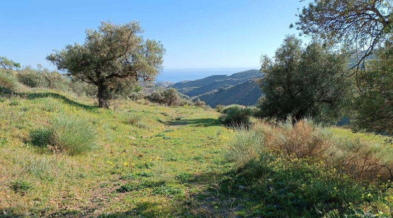 Málaga - Valdés - 3000m2