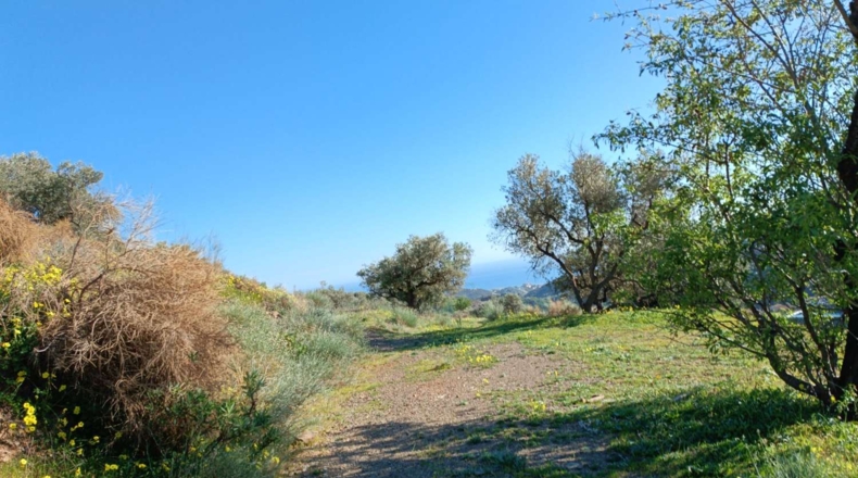 Málaga - Valdés - 3000m2