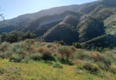 Non-developable land for sale in Moclinejo ref: TR91242 photo