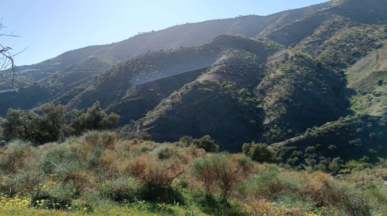 Málaga - Valdés - 3000m2
