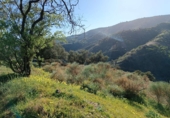 Non-developable land for sale in Moclinejo ref: TR91242 photo