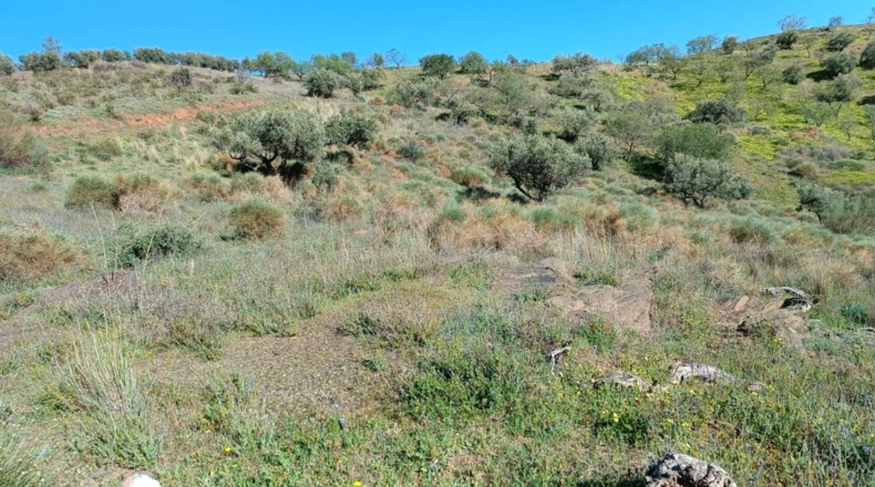 Málaga - Valdés - 5000m2