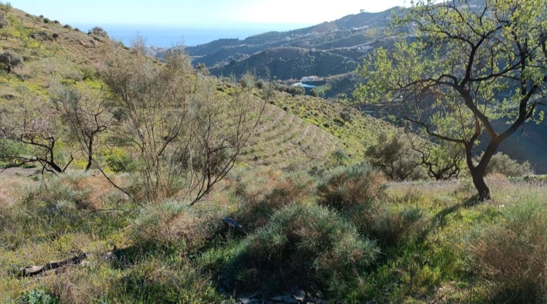 Málaga - Valdés - 5000m2