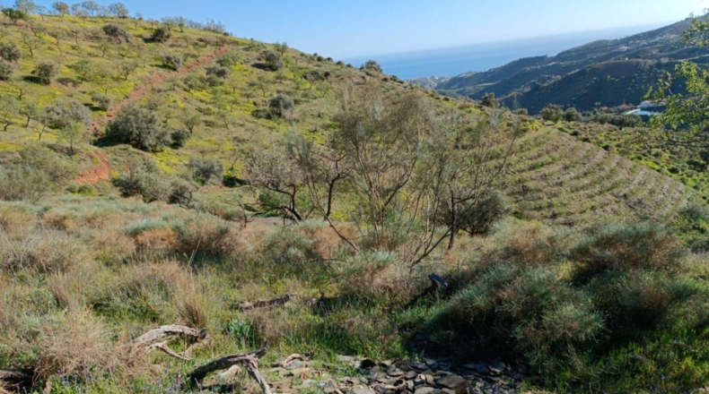 Málaga - Valdés - 5000m2