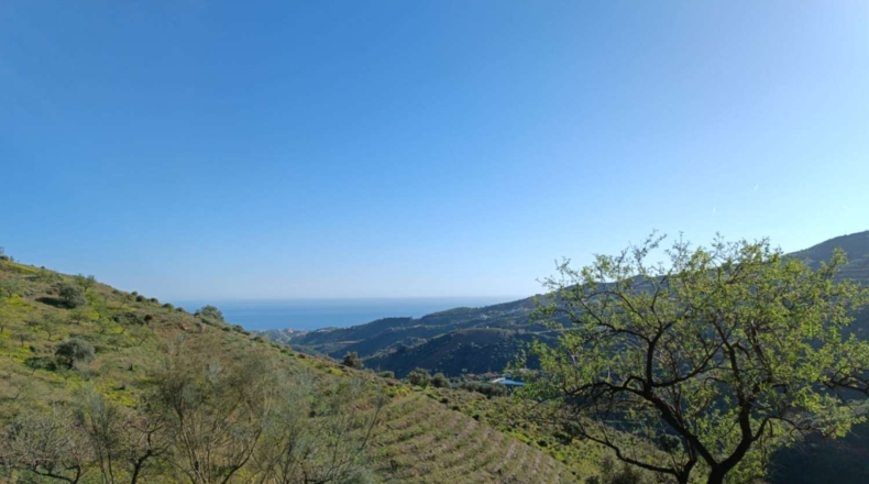 Málaga - Valdés - 5000m2