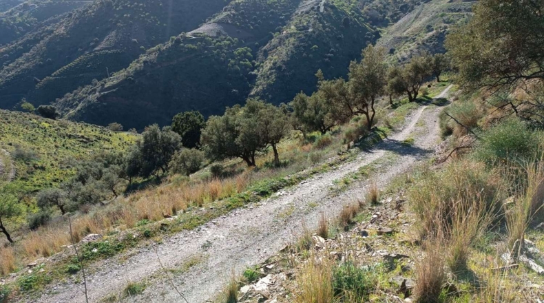 Málaga - Valdés - 5000m2