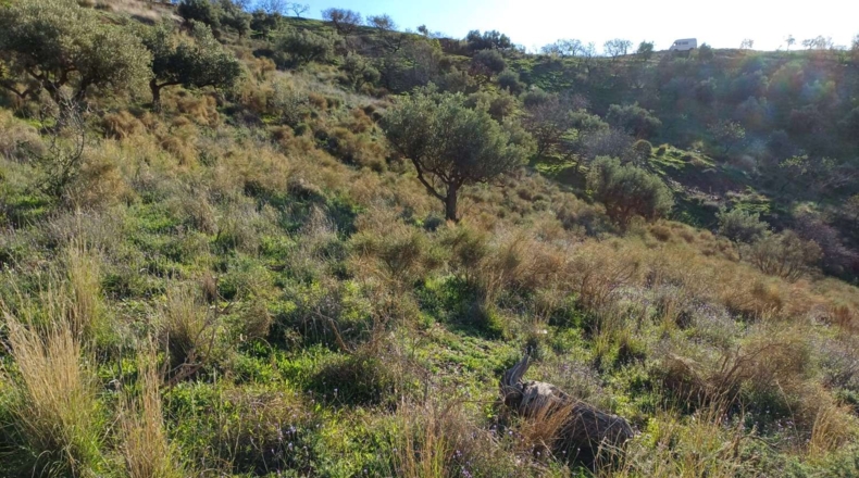 Málaga - Valdés - 5000m2