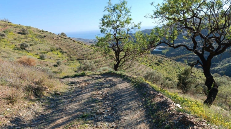 Málaga - Valdés - 5000m2