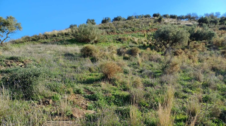 Málaga - Valdés - 5000m2
