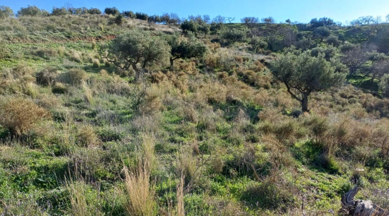 Málaga - Valdés - 5000m2