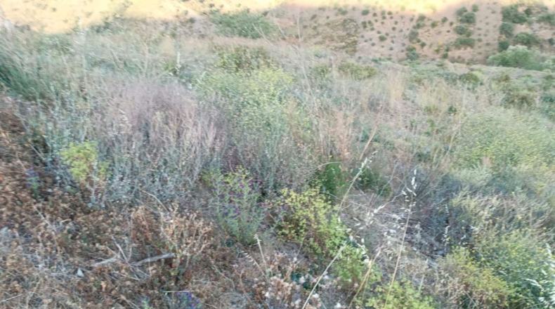 Málaga - Valdés - 26800m2