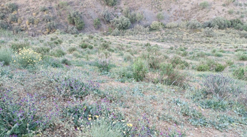 Málaga - Valdés - 26800m2